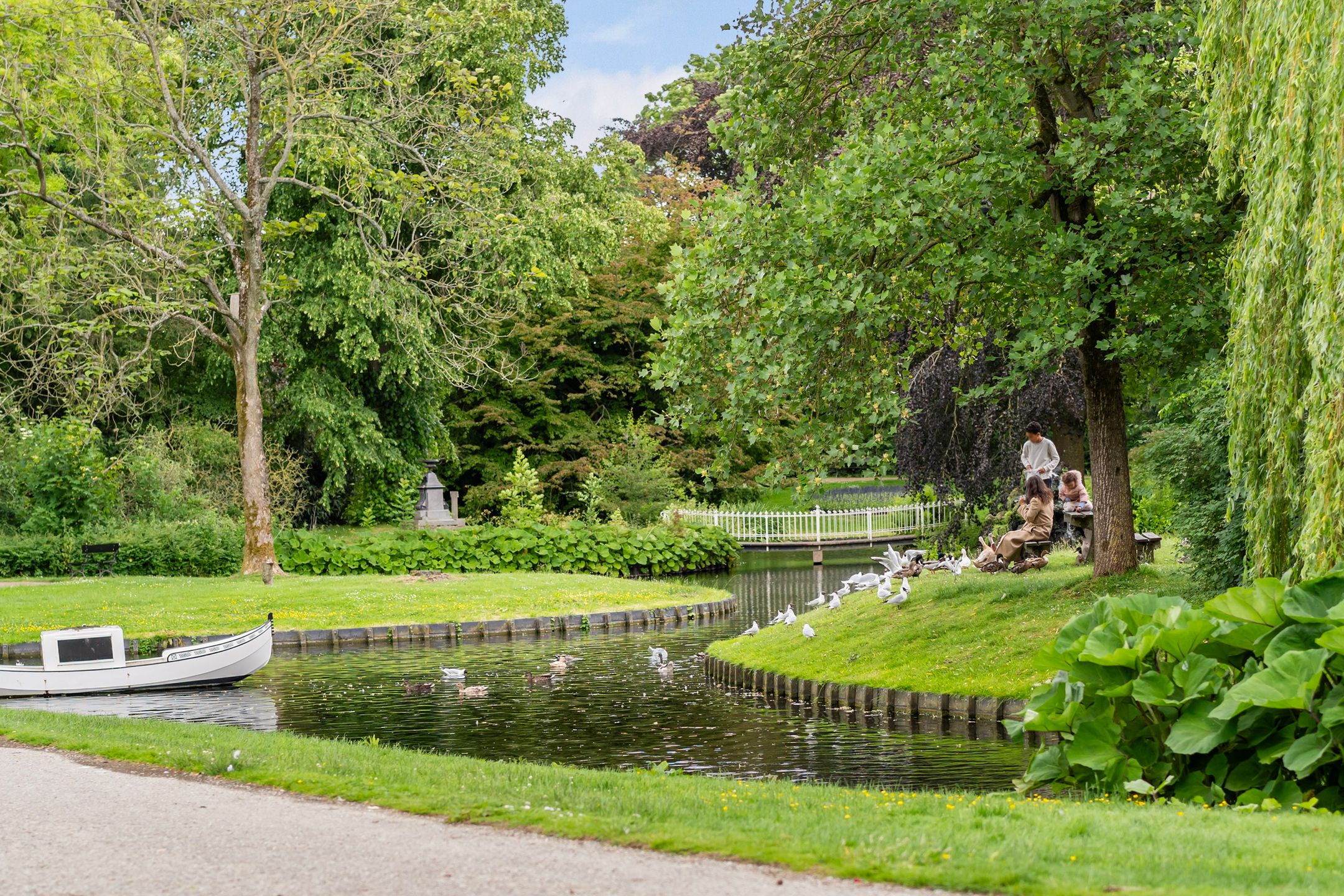 Vijver en groen in het Wilhelminapark